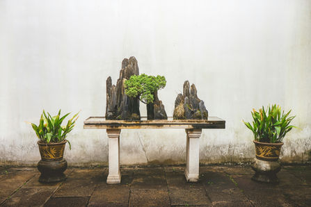 serene patio setting with bench and natural elements, pottery and decorative rocks and plants to spotlight a bonsai tree.