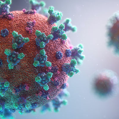 Image by Fusion Medical Animation