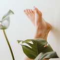 Image by Hannah Gullixson