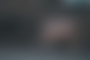 Vacas de desecho en establo lechero de México listas para venta.