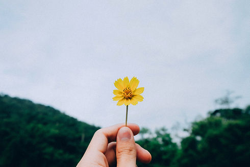 Image by Kawin Harasai