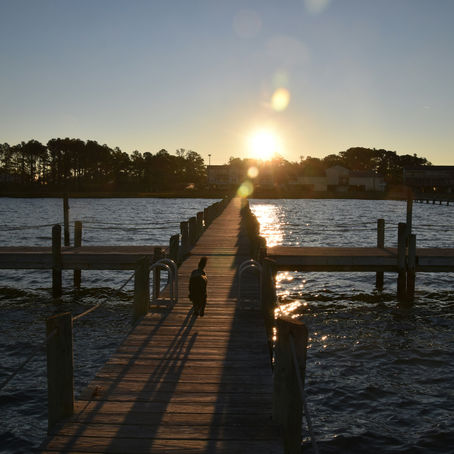 Chincoteague Island, Virginia