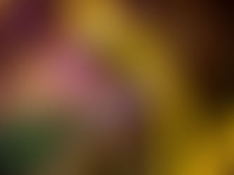 TENS-Therapie (Transkutane Elektrische Nervenstimulation) - Eine effektive und nicht-invasive Methode zur Schmerzlinderung