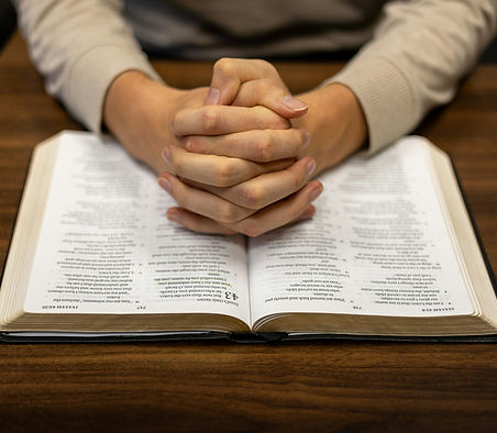 Image by Dallas Penner