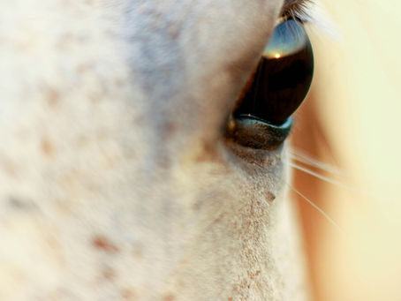 L’intelligence artificielle peut analyser. Nous, on écoute, on ressent, on comprend.
