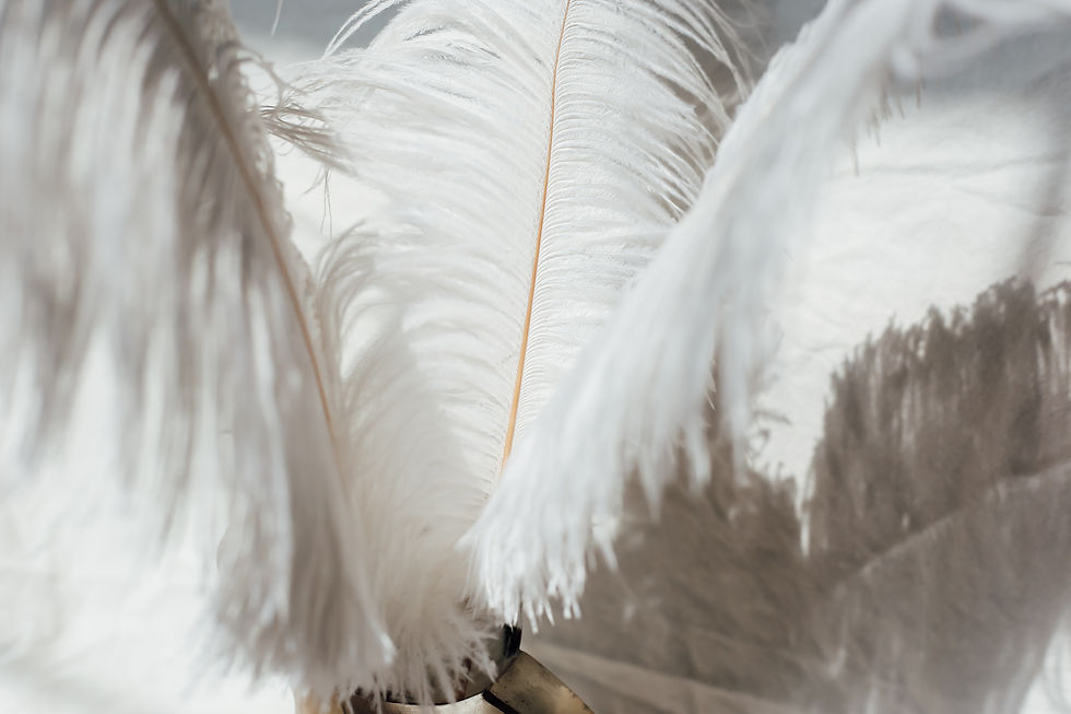 Image by Kendall Scott