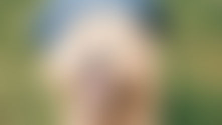 4 Reasons Why Miniature Goldendoodles are Perfect for Families