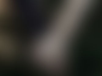 6 Reasons Not to Go To Couples Therapy