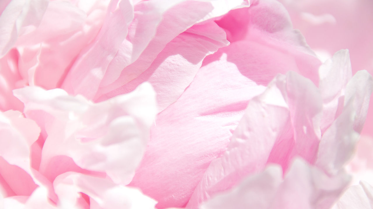 Image by Veronika Kireeva