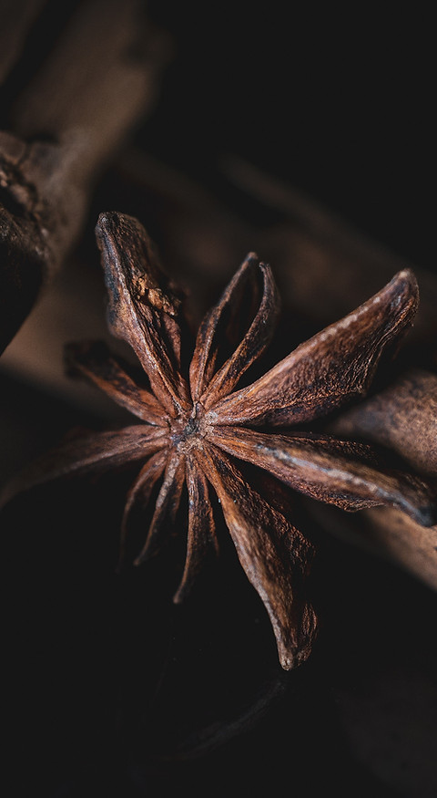 Image by Nora Baltus