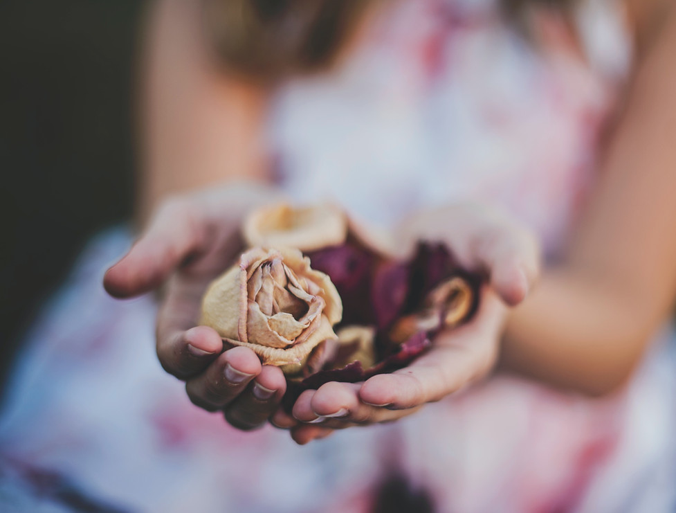 Image by Katherine Hanlon