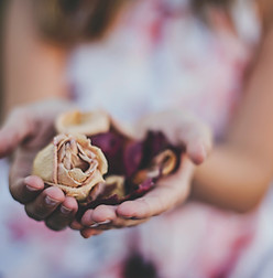 Image by Katherine Hanlon