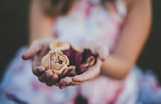 Image by Katherine Hanlon