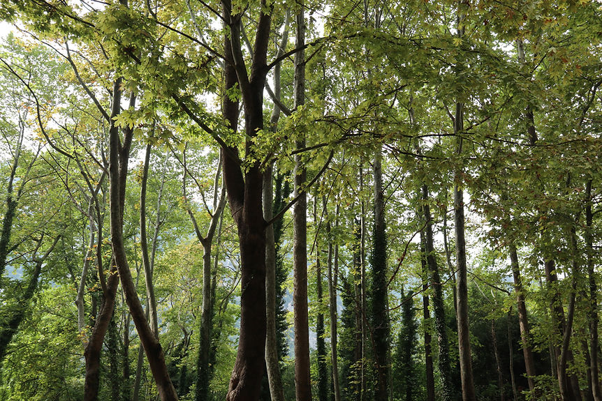 Image by Kiriakos Verros