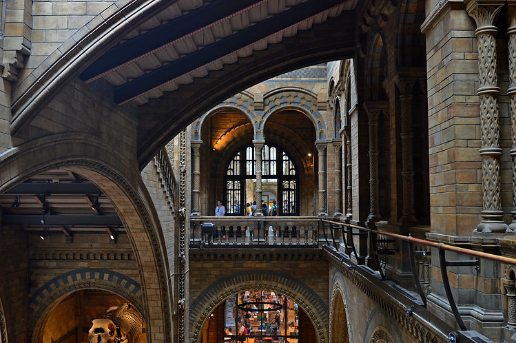 Image by Mélanie Martin