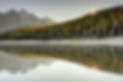 Image by Philipp Düsel
