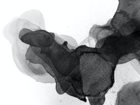 Monday Microfiction: "Inkblot"