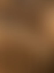 A close up of a cornfield