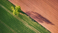 Redefining agriculture: Benedikt Bösel and regenerative farming for sustainability