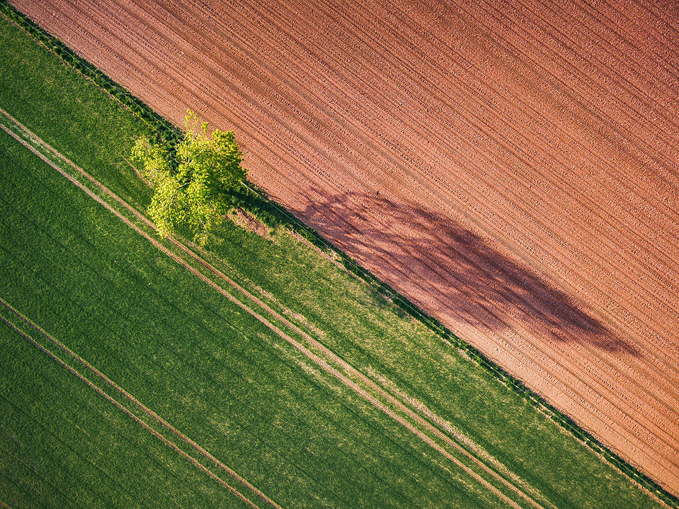 Image by Ivan Bandura