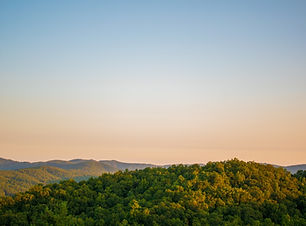 Image by Elijah Mears