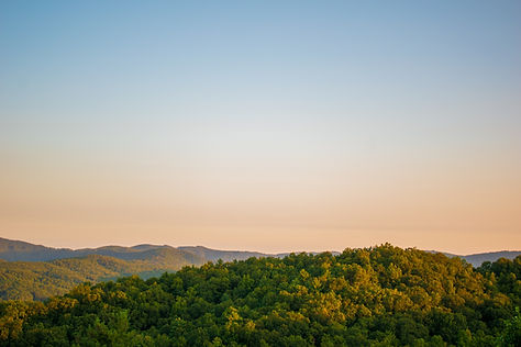 Image by Elijah Mears