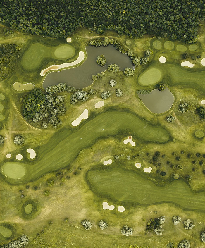 Image by Richard Brutyo