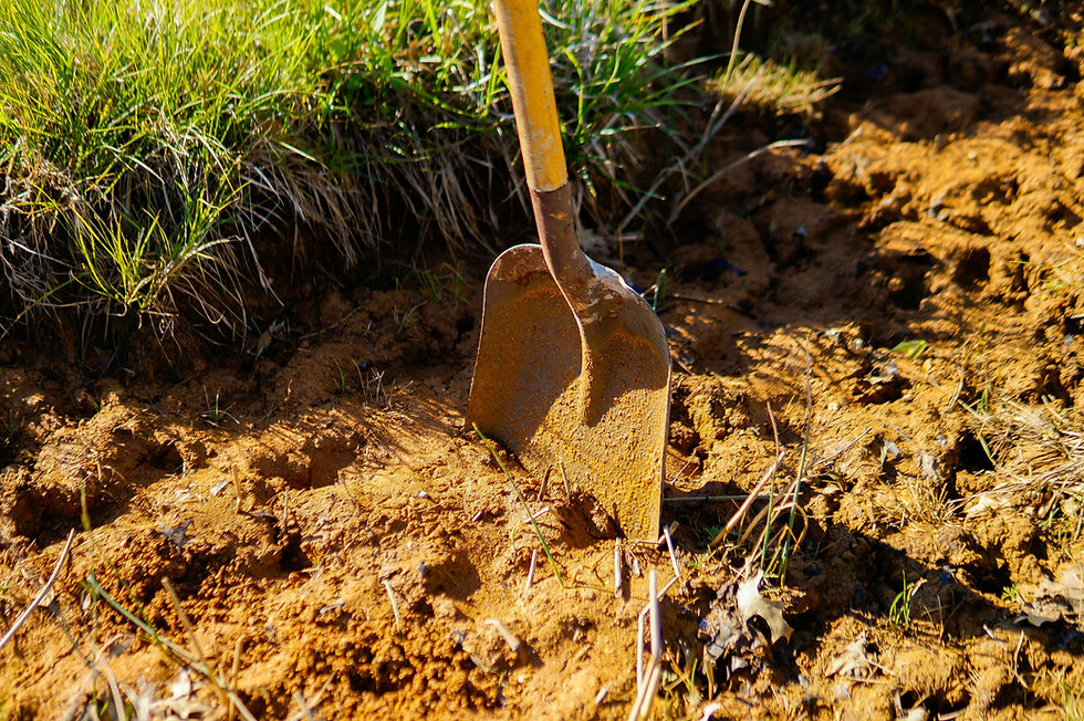 Shovel digging into garden soil
