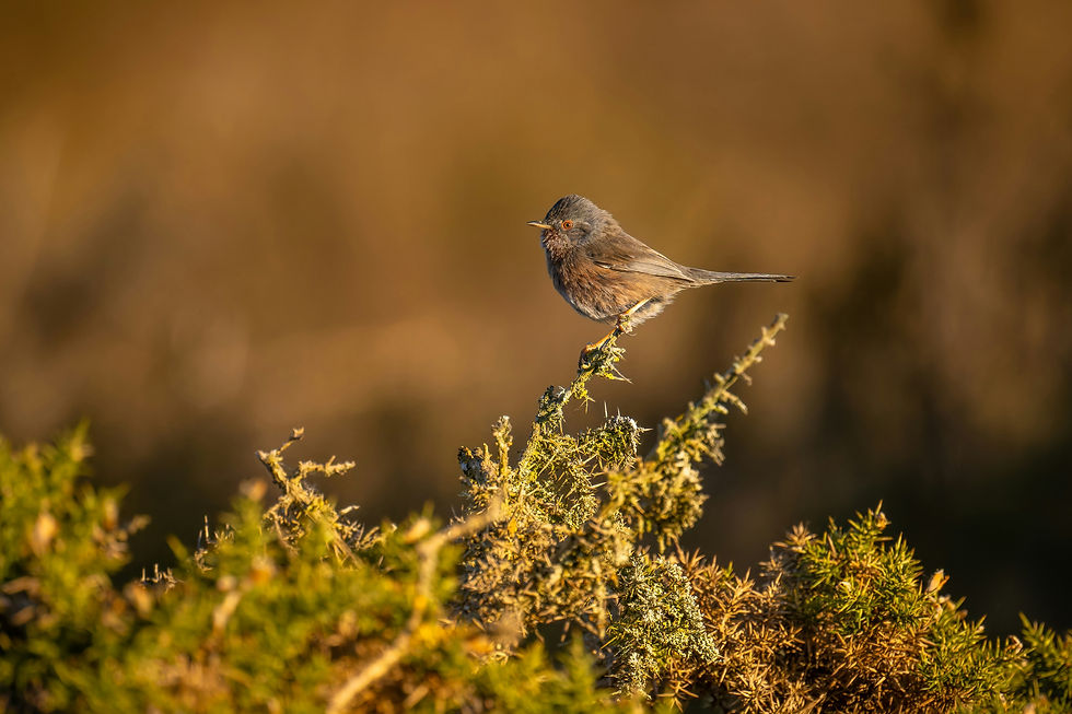 Greenham Common