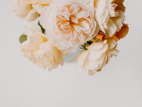 Image by Annie Spratt