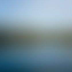 3 ways to restore confidence in carbon markets in 2024