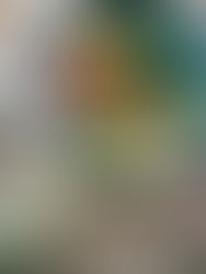 Thực đơn eat clean cơ bản & hiệu quả cho người mới bắt đầu 