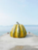 Image by Victor Lu