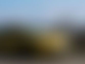 Man standing next to car