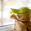 Writer: Baby-Yoda