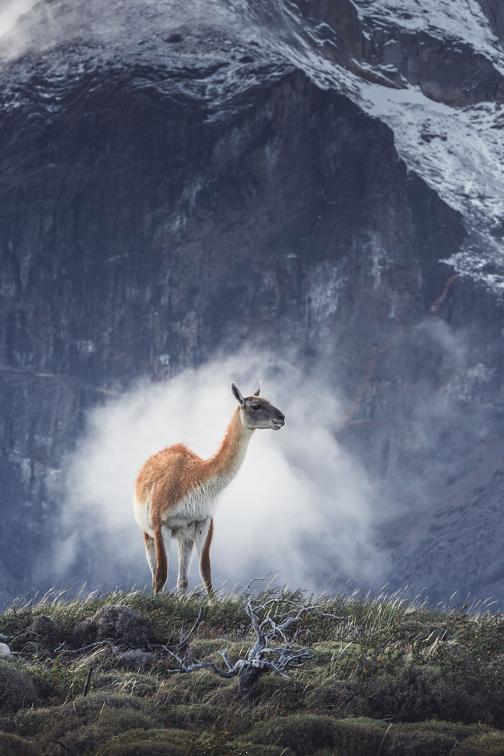 Image by Andrew Svk