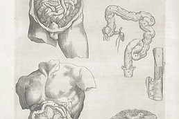 Image by The New York Public Library