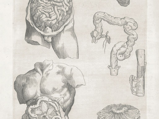 «No luce, no tunnel né cazzate»: recensione a "Sottopelle" di Noemi Nagy