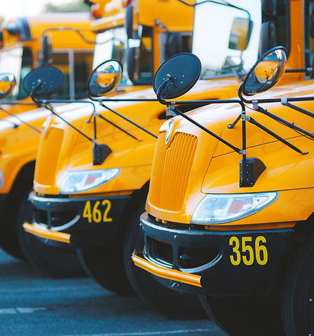 Educational Choices as Mission Fields?