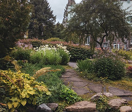 Image by Sigmund
