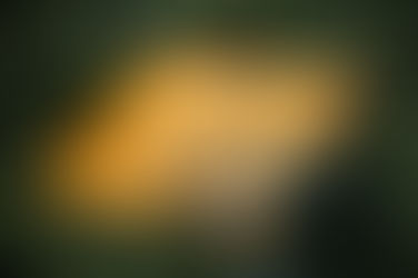 "Flood-Proof Your Future: Stanislaus County's Preparedness Guide Is a Must-Read"