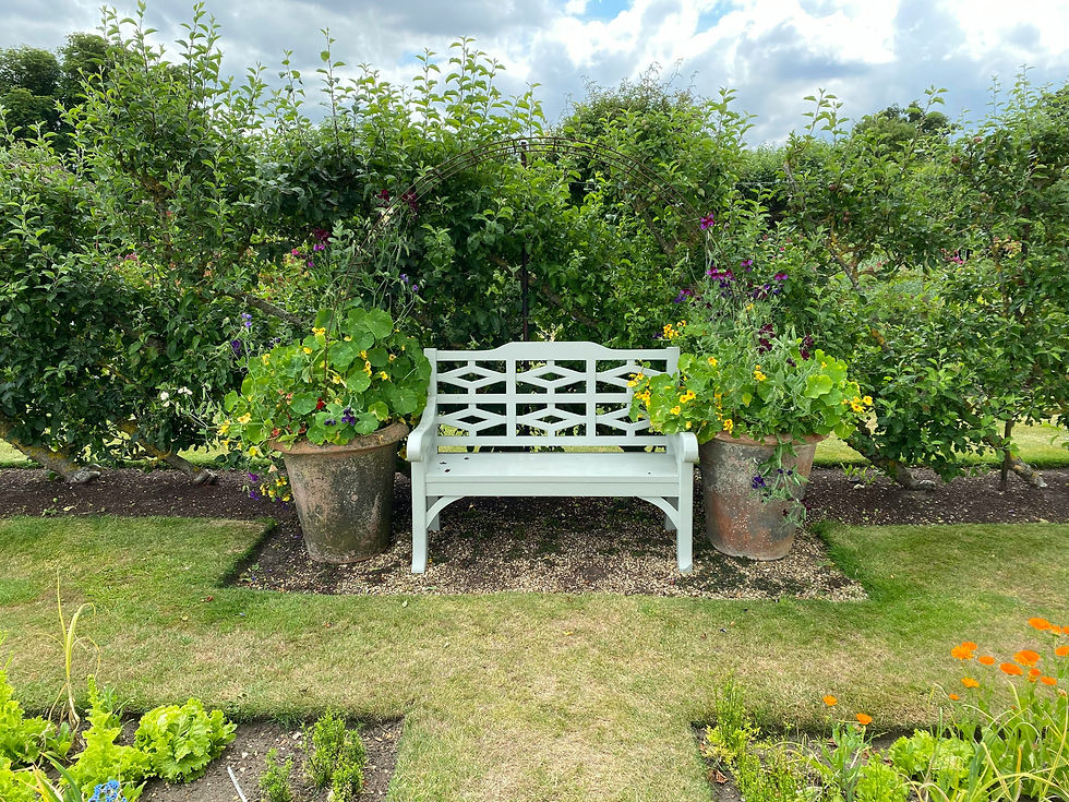 White bench between two flower pots with colorful blooms in a lush garden. Overcast sky above, creating a serene outdoor setting.