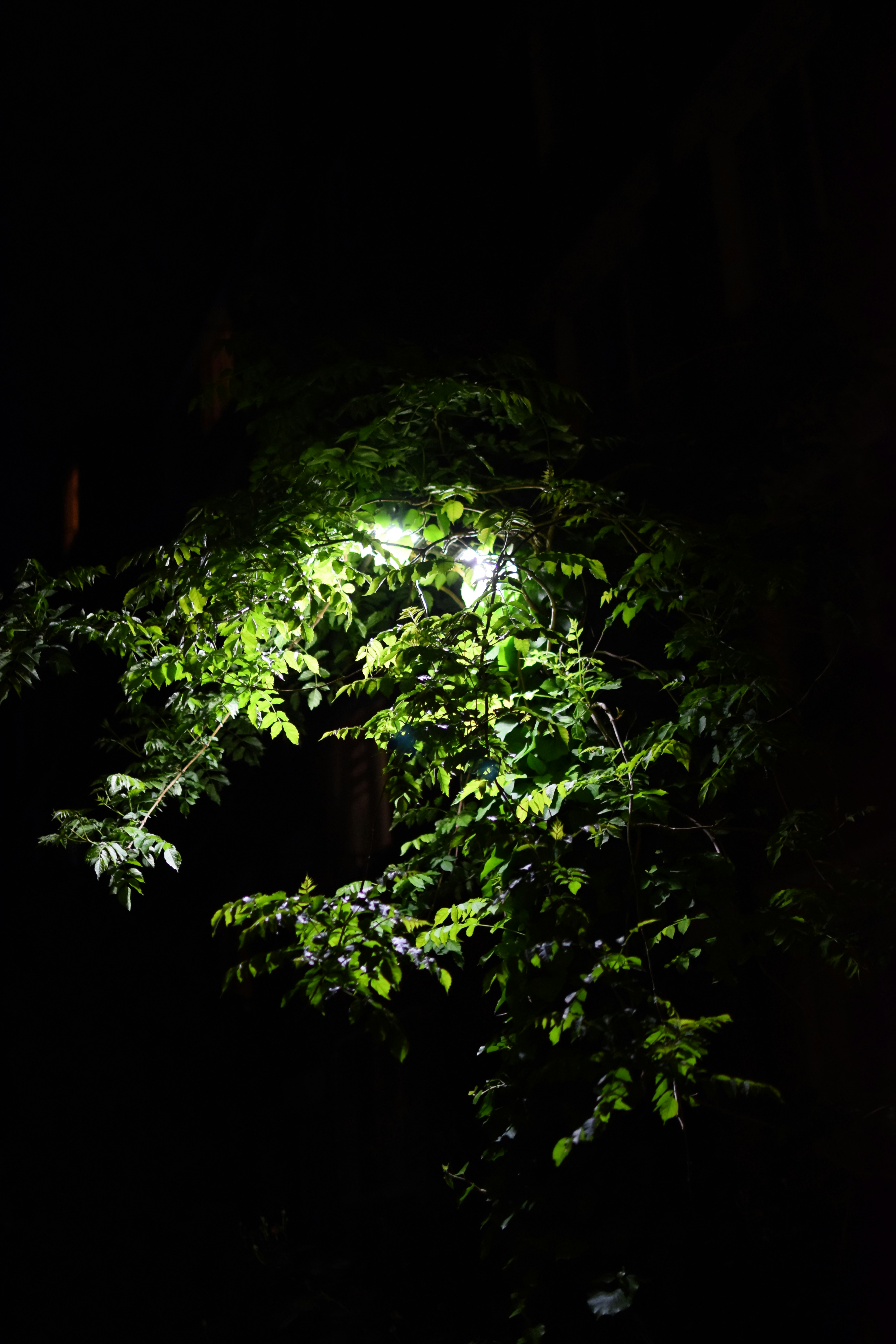 Image by Темтар Завуров