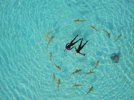 Venture Clienting: Wie sich die Partner für eine Corporate-Startup Partnerschaft finden lassen