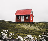 Image by Luke Stackpoole