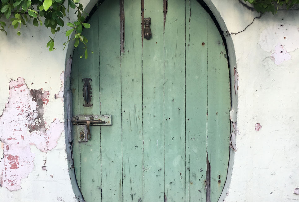 Image by Tatiana Colhoun