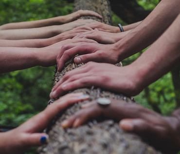 Image by Shane Rounce