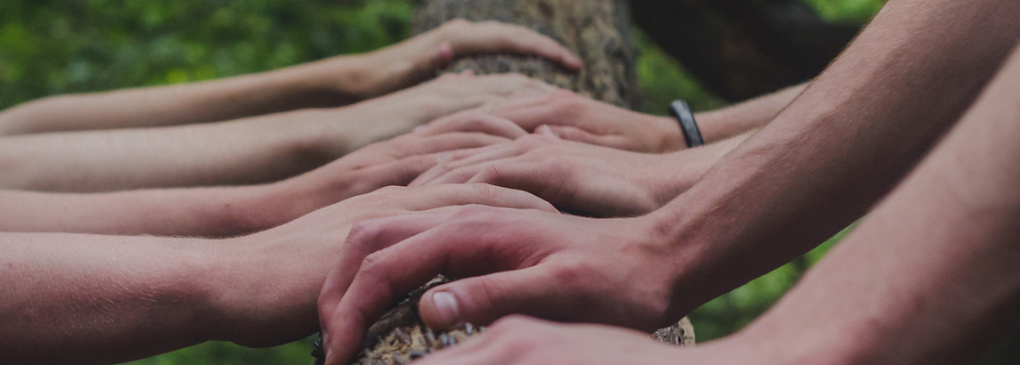 Image by Shane Rounce