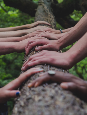 Image by Shane Rounce
