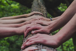 Image by Shane Rounce